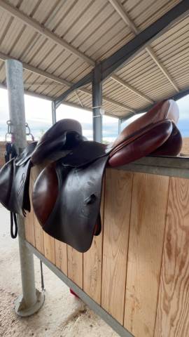 Sella da salto ostacoli CWD  17" - 2005