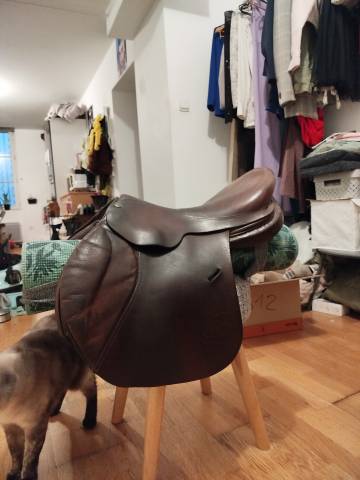 Sella da salto ostacoli Forestier  16.5" - 2010