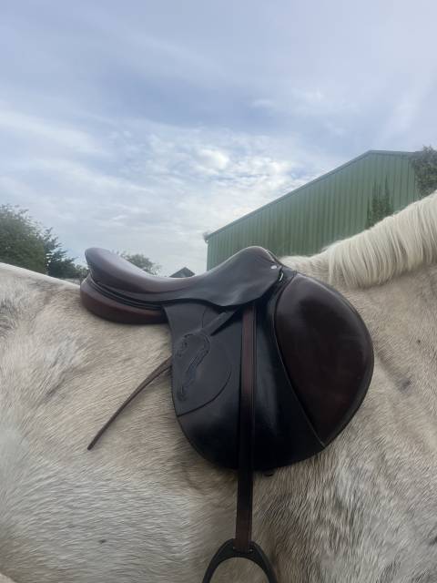 Sella da salto ostacoli Antarès  17.5" - 2017