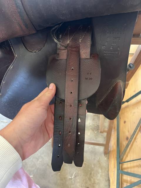 Sella da salto ostacoli Antarès  17.5" - 2017