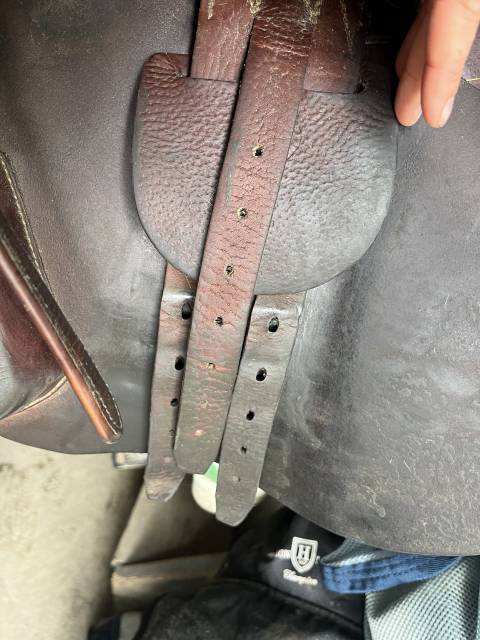 Sella da salto ostacoli Antarès  17.5" - 2017