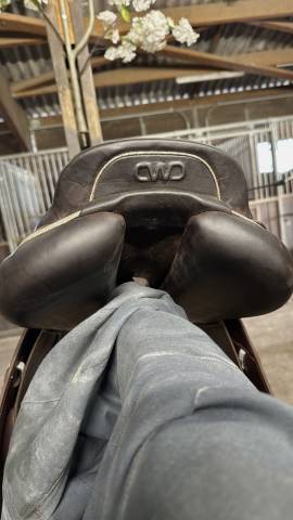 Sella da salto ostacoli CWD  17.5" - 2025