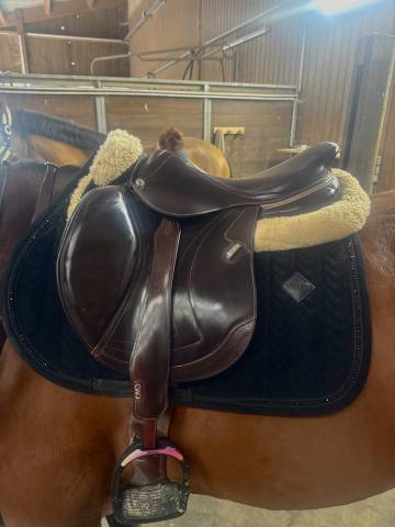 Sella da salto ostacoli CWD  17.5" - 2025