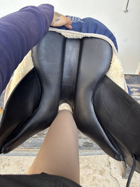 Sella da dressage Arion  18" - 2023