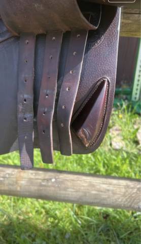 Sella mista CWD  17" - 2016