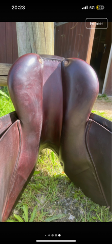 Sella mista CWD  17" - 2016