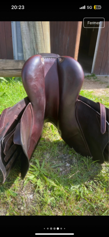 Sella mista CWD  17" - 2016