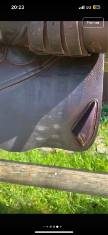 Sella mista CWD  17" - 2016