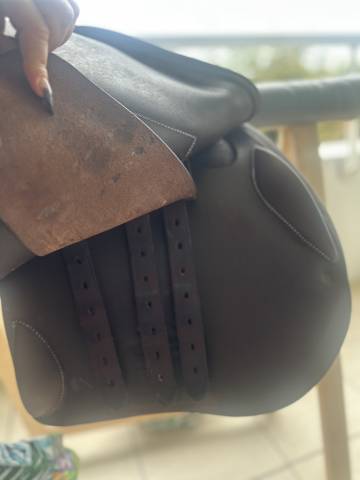 Sella da salto ostacoli Forestier  18" - 2023