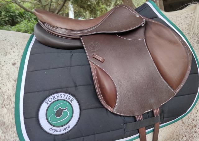 Sella mista Forestier  17" - 2023