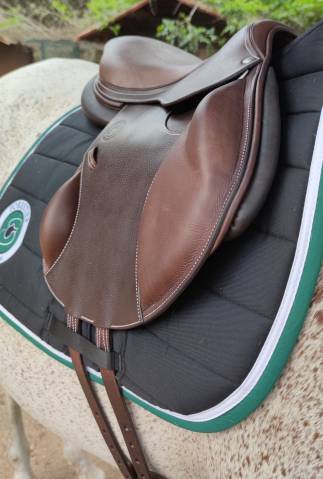 Sella mista Forestier  17" - 2023