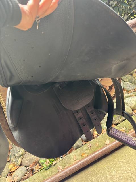 Sella da salto ostacoli Meyer  16.5" - 2022