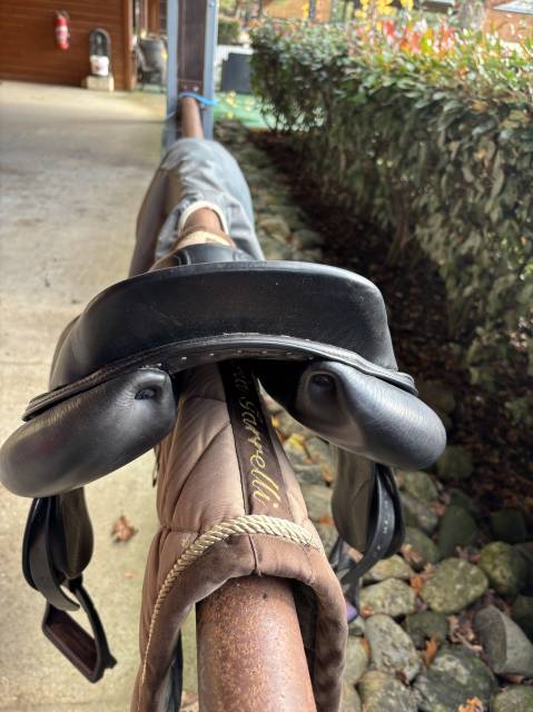 Sella da salto ostacoli Meyer  16.5" - 2022