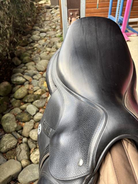 Sella da salto ostacoli Meyer  16.5" - 2022