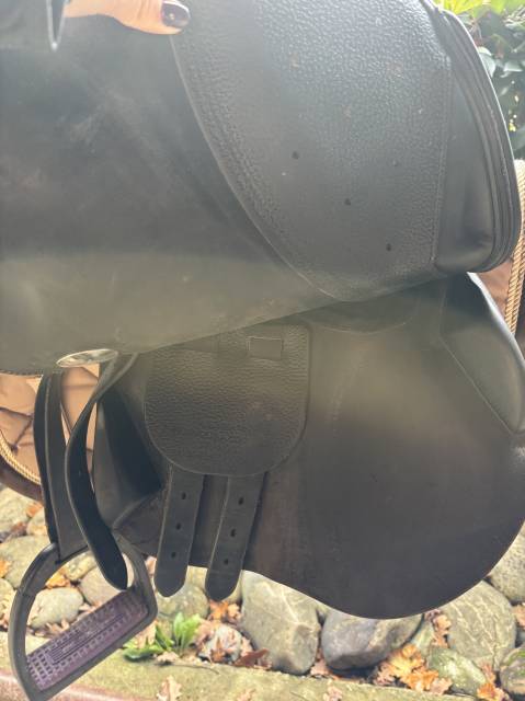 Sella da salto ostacoli Meyer  16.5" - 2022