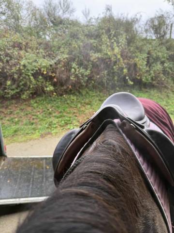 Sella da dressage Childeric  17.5" - 2017