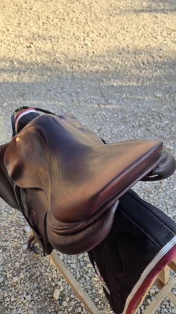 Sella da salto ostacoli GBS  17.5" - 2018