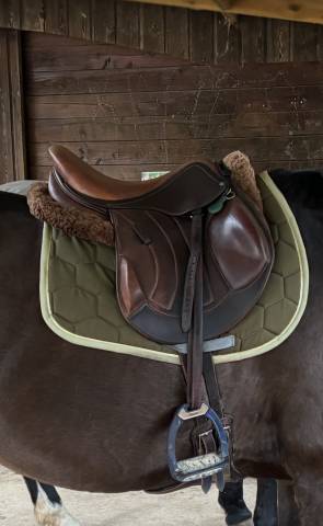 Sella mista Altair  17.5" - 2022