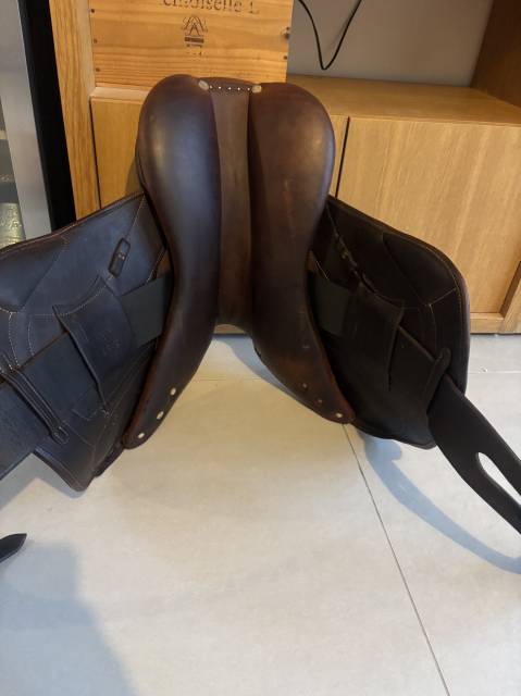 Sella mista Altair  17.5" - 2022