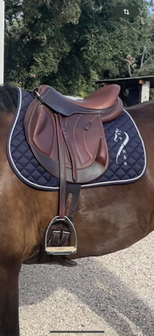 Sella mista Altair  17.5" - 2022