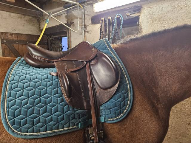 Sella mista Devoucoux  16.5" - 2022