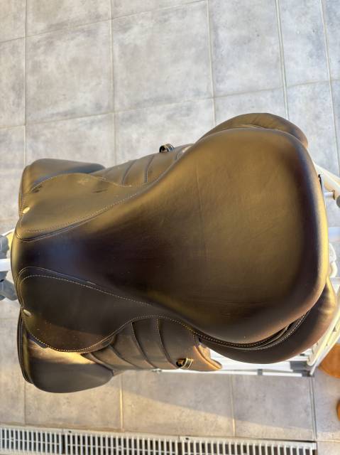 Sella mista Forestier  17.5" - 2022