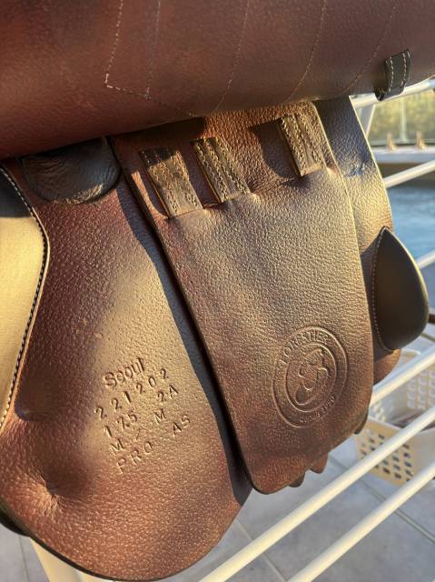 Sella mista Forestier  17.5" - 2022