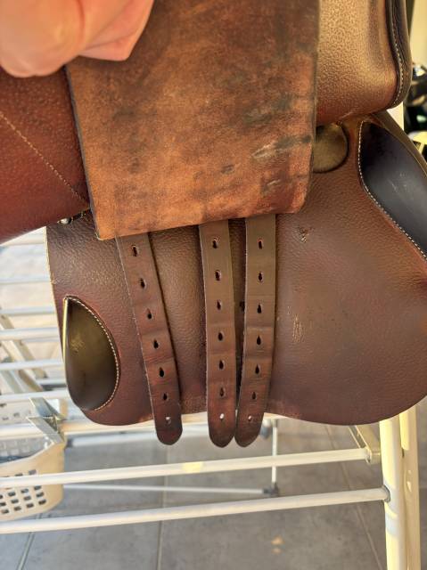 Sella mista Forestier  17.5" - 2022