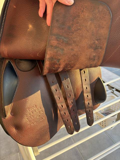 Sella mista Forestier  17.5" - 2022