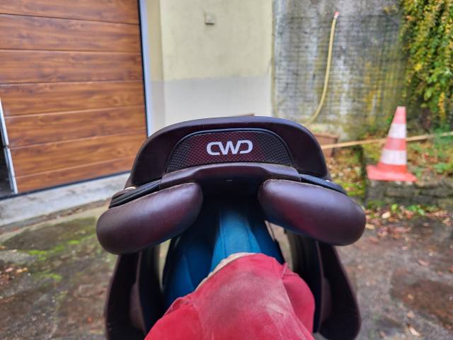 Sella mista CWD 2GS Mademoiselle SE 41 17.5" - 2025