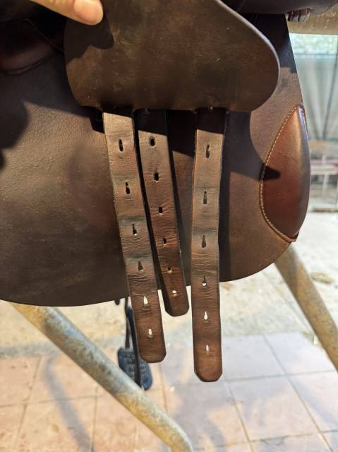 Sella da salto ostacoli Renaissance  17.5" - 2021