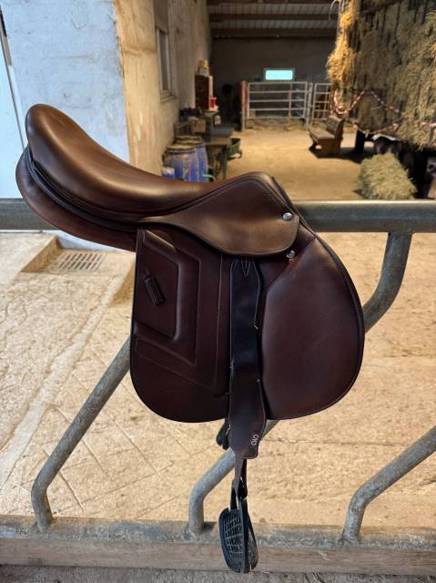 Sella da salto ostacoli Renaissance  17.5" - 2021