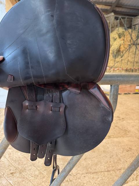 Sella da salto ostacoli Renaissance  17.5" - 2021