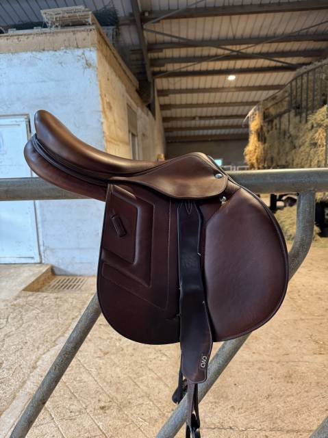 Sella da salto ostacoli Renaissance  17.5" - 2021