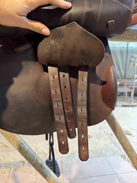 Sella da salto ostacoli Renaissance  17.5" - 2021