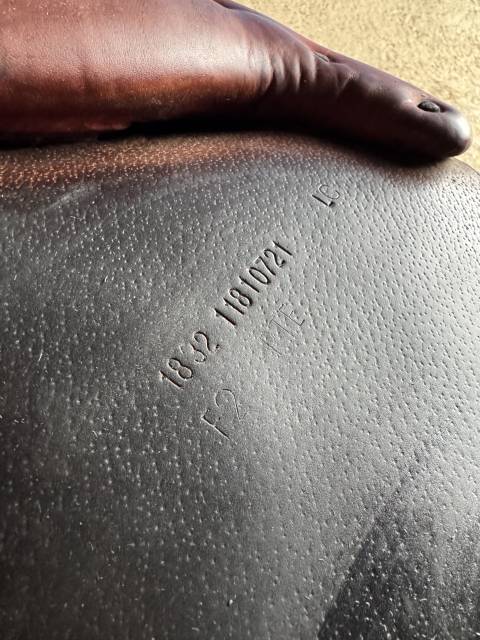 Sella da salto ostacoli Renaissance  17.5" - 2021