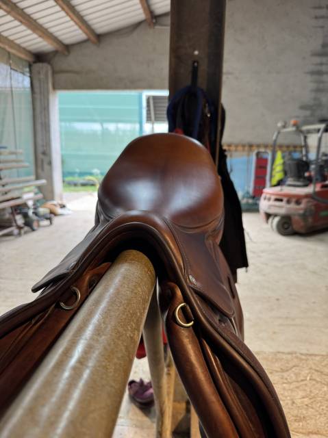 Sella da salto ostacoli Renaissance  17.5" - 2021