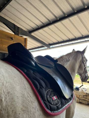 Sella mista Privil&egrave;ge Equitation  17" - 2022