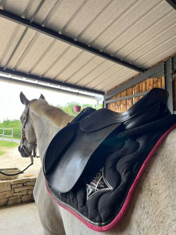 Sella mista Privil&egrave;ge Equitation  17" - 2022