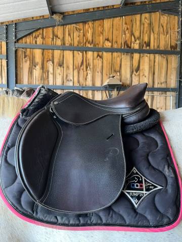Sella mista Privil&egrave;ge Equitation  17" - 2022
