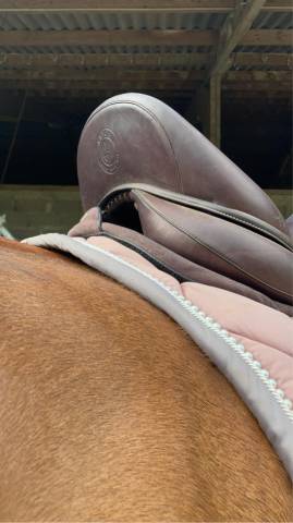 Sella da dressage Arion Dressage doublé veau 18" - 2022