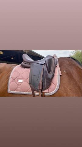 Sella da dressage Arion Dressage doublé veau 18" - 2022