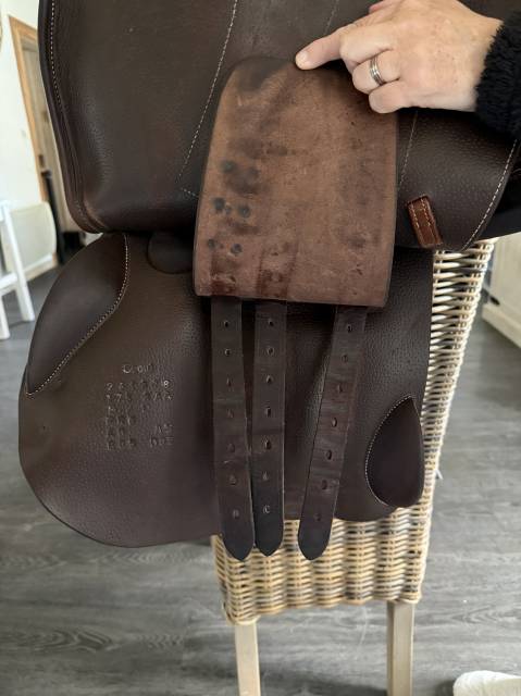 Sella mista Forestier  17.5" - 2024