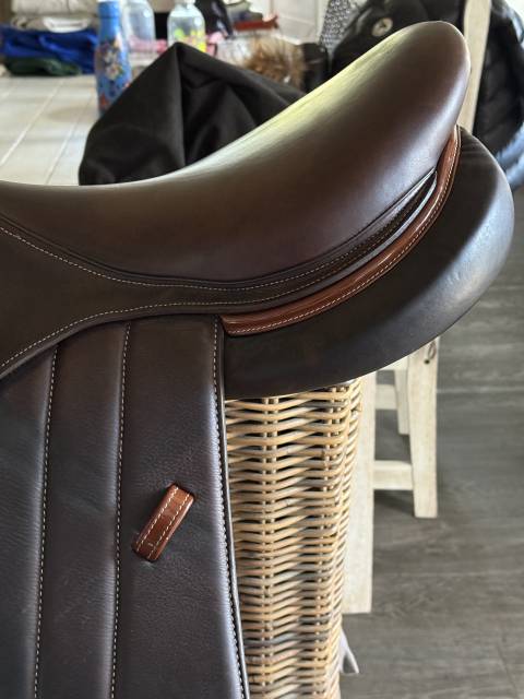 Sella mista Forestier  17.5" - 2024