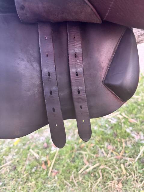 Sella da salto ostacoli Meyer  17.5" - 2021