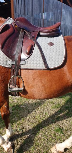 Sella da cross Eric Thomas  17.5" - 2012