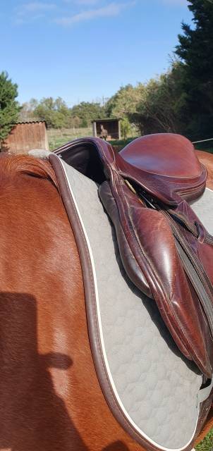 Sella da cross Eric Thomas  17.5" - 2012