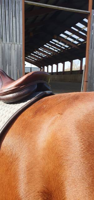 Sella da cross Eric Thomas  17.5" - 2012