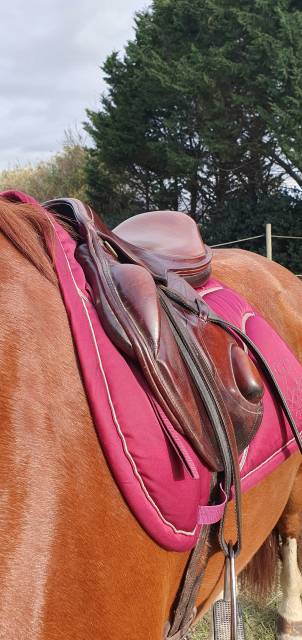 Sella da cross Eric Thomas  17.5" - 2013