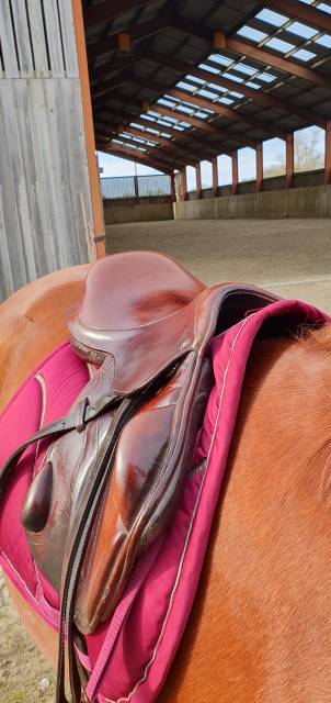 Sella da cross Eric Thomas  17.5" - 2013